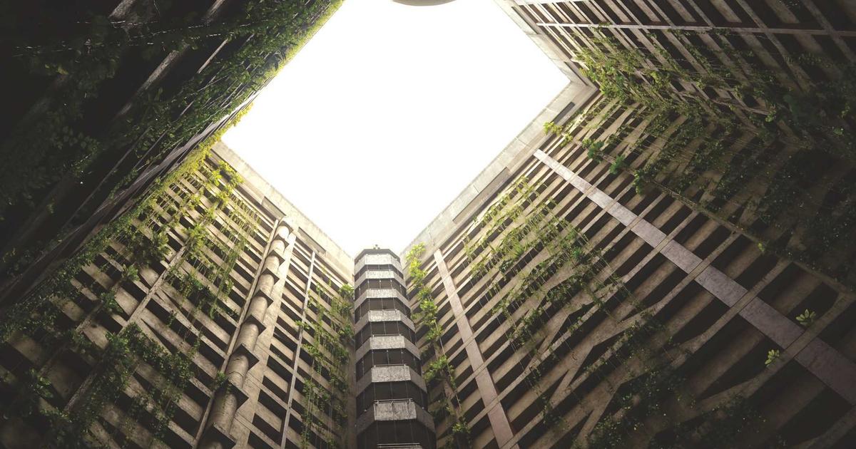 The Open-Source Frontier: Evaluating the Performance and Governance of Community-Driven Language Models