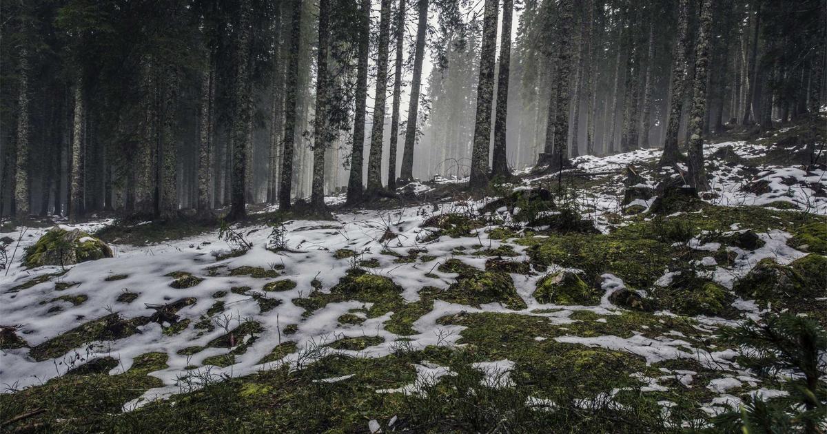 AI-Driven Drug Discovery Pipelines: Integrating Large Language Models with Molecular Simulation and