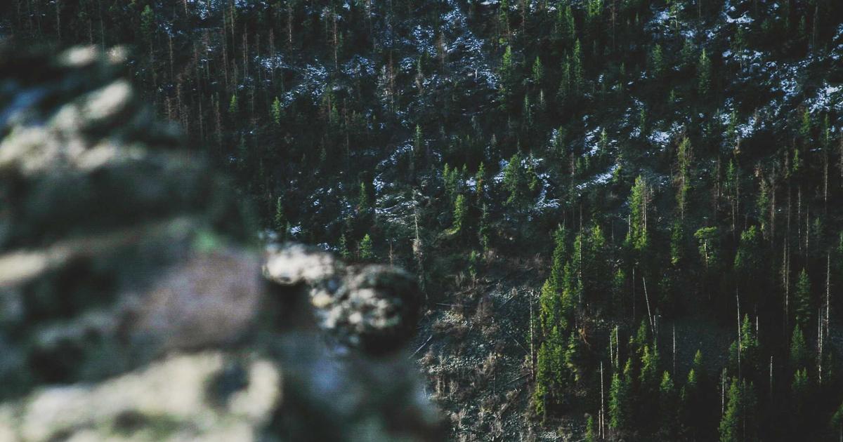 The Cognitive Architecture of In-Context Learning: Neuroscientific Perspectives on Few-Shot Adaptation Mechanisms in Transformer Models