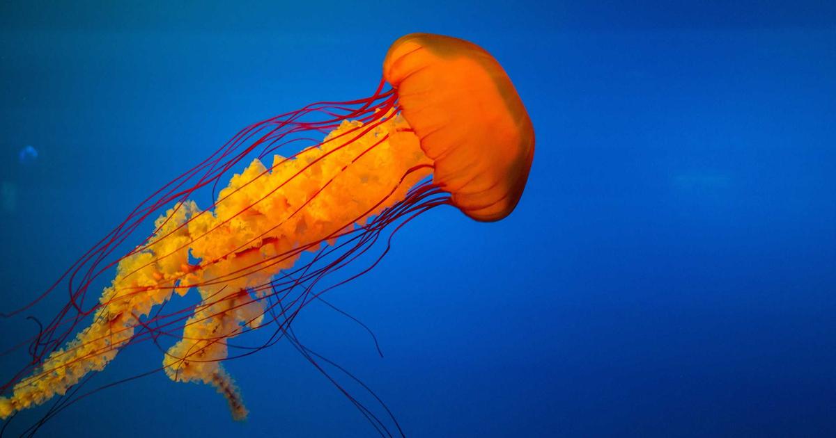 The Industrial Metaverse: Integrating Digital Twins with AI-Driven Simulation and Optimization Systems