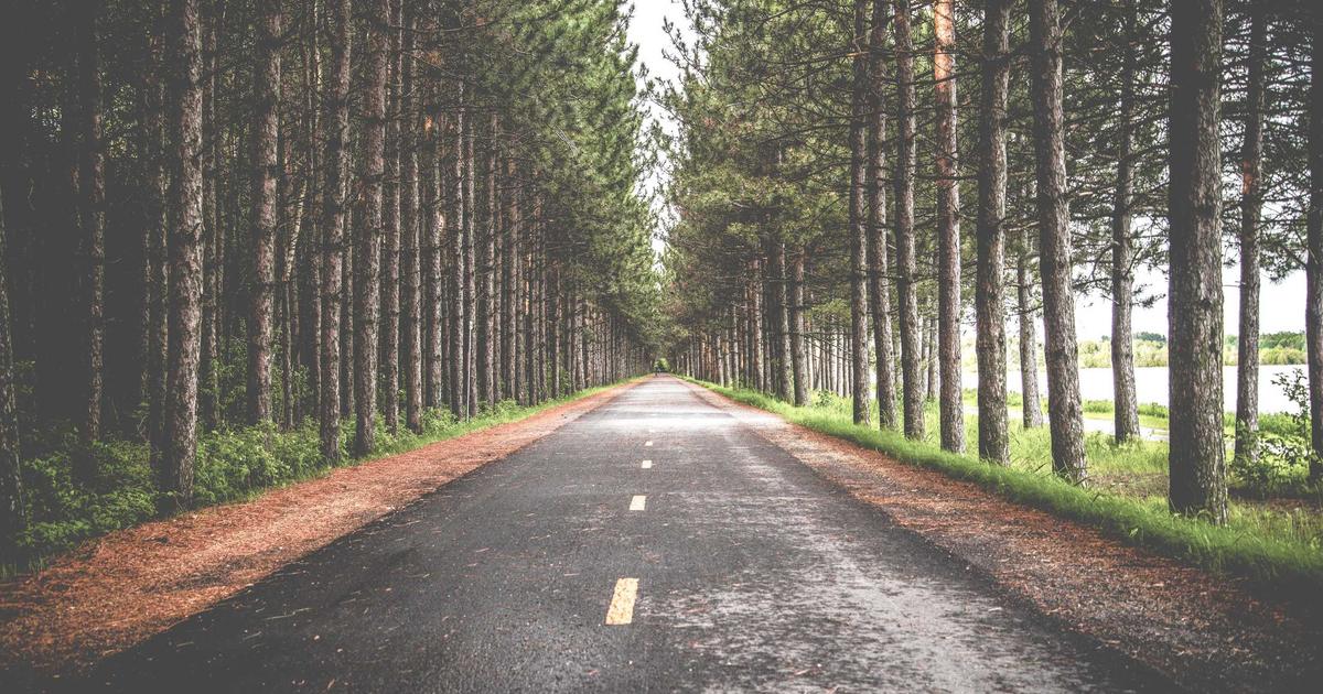 Algorithmic Fairness Audits: Methodologies for Detecting and Mitigating Bias in Enterprise AI Deploy