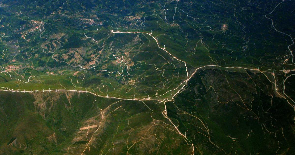 AI-Assisted Scientific Discovery: A Meta-Analysis of Large Language Models in Literature Review and Hypothesis Generation