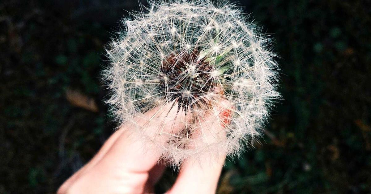 The Role of Synthetic Data in Mitigating Dataset Bias: Generation Techniques and Validation Methodol