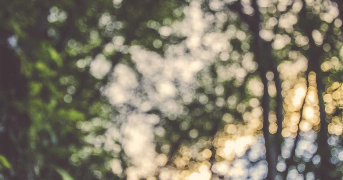 Neuro-Symbolic Integration in Large Language Models: A Survey of Hybrid Architectures for Enhanced Logical Reasoning