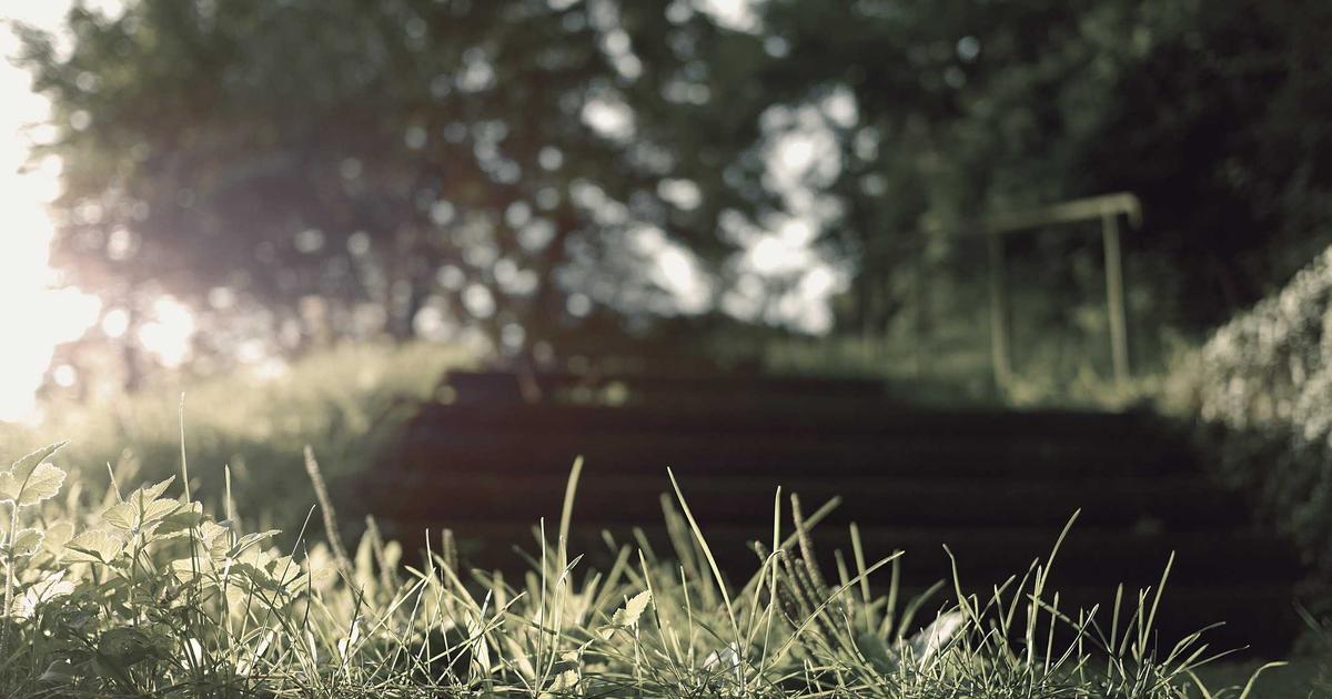 Benchmarking AI Code Generation Tools: A Comparative Study of Developer Productivity and Code Quality Metrics