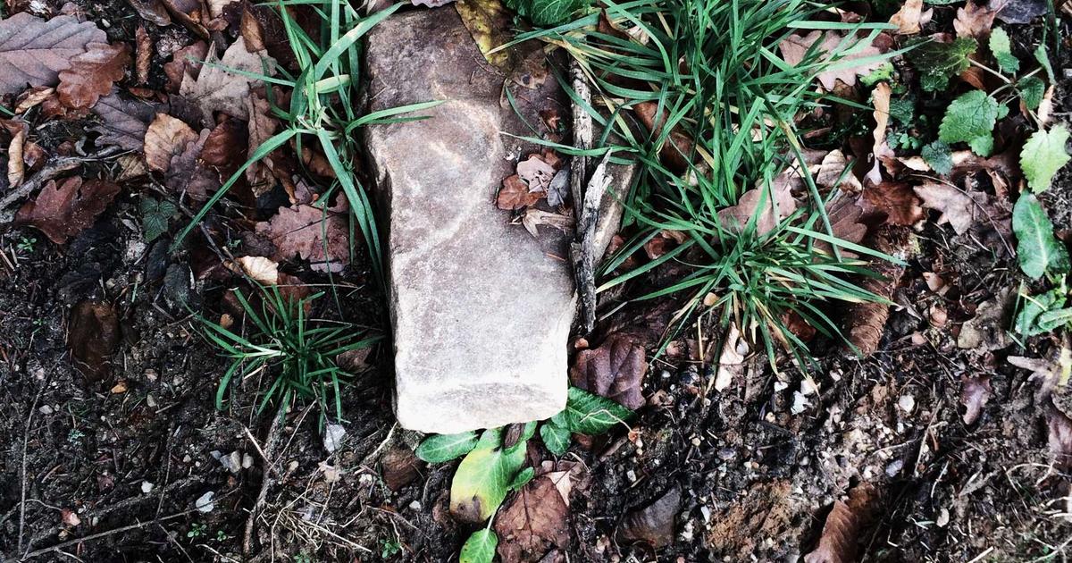 The Carbon Footprint of Large Language Model Inference: Quantifying Environmental Impacts Across Dep