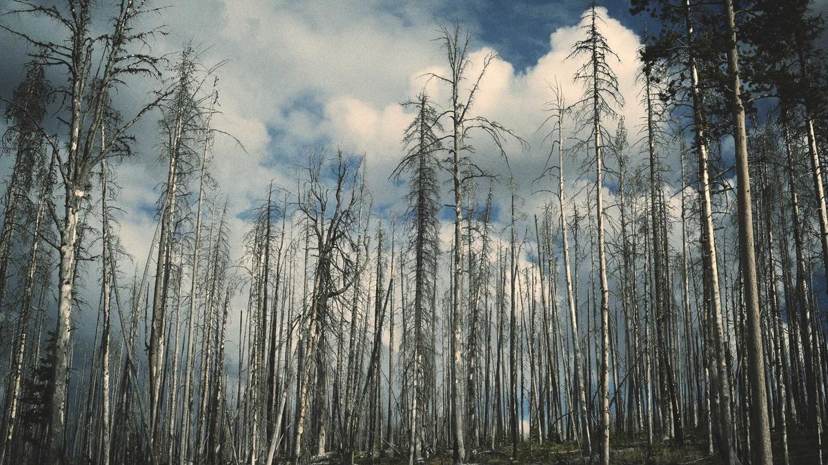 AI-Driven Drug Discovery Pipelines: Integrating Large Language Models with Molecular Simulation and High-Throughput Screening — illustration 3