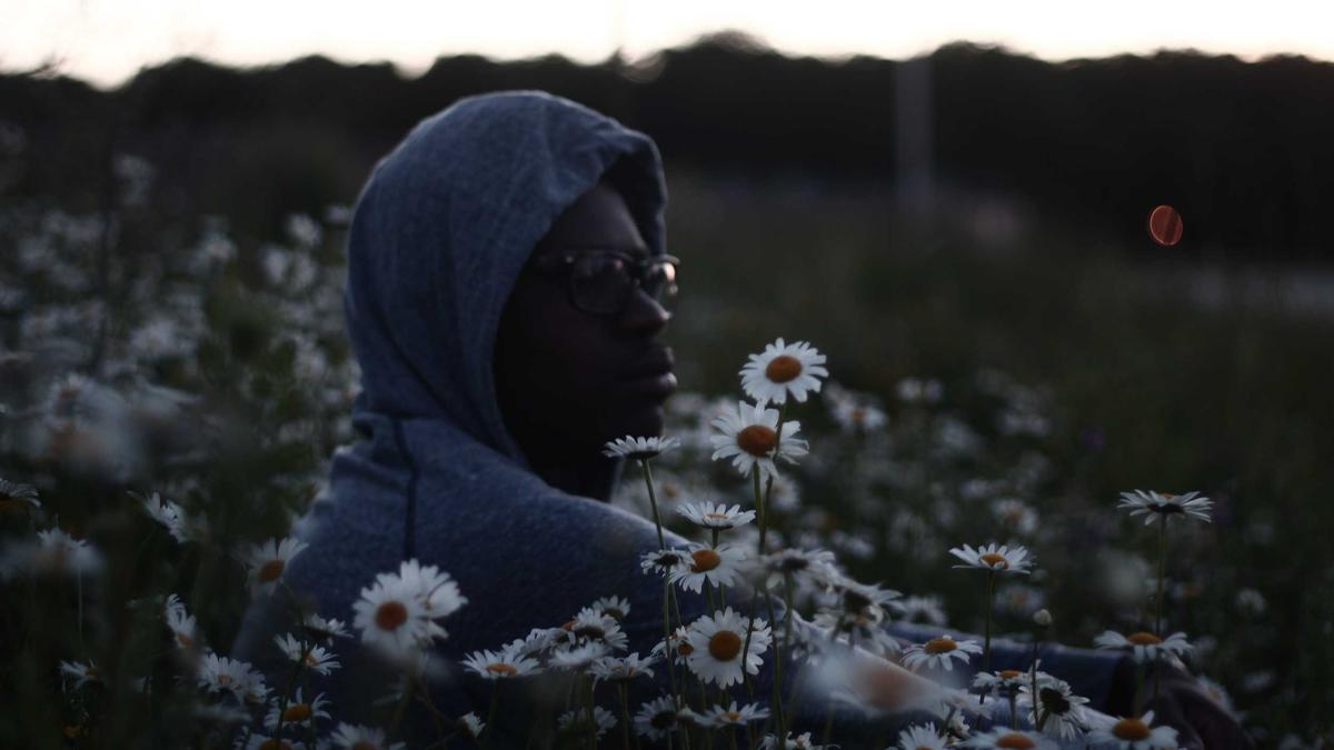 AI Governance Frameworks for Financial Services: Implementing Risk Management and Compliance in Algorithmic Trading Systems — illustration 1