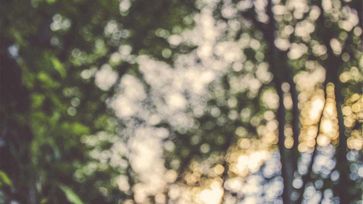 The Role of Synthetic Data in Mitigating Dataset Bias: Generation Techniques and Validation Methodologies — illustration 3