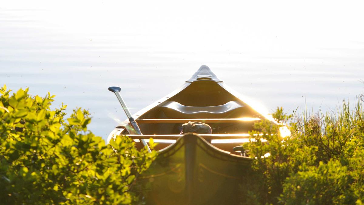 AI Governance Frameworks for Financial Services: Implementing Risk Management and Compliance in Algorithmic Trading Systems — illustration 3