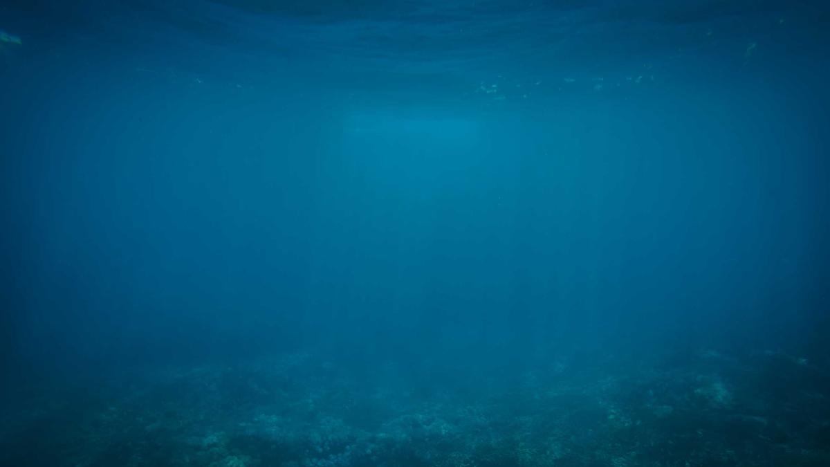 Neuroscience-Inspired Architectures for Continual Learning: Biological Plausibility in Artificial Neural Networks — illustration 3