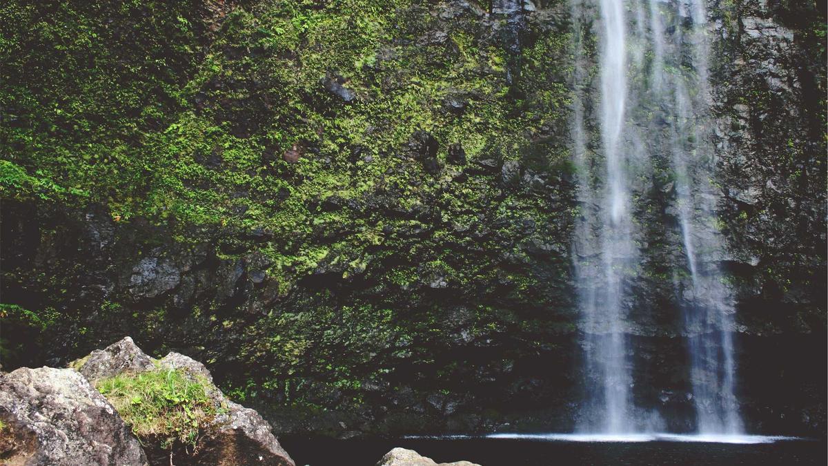 The Open-Source Frontier: Evaluating the Performance and Governance of Community-Driven Language Models — illustration 3