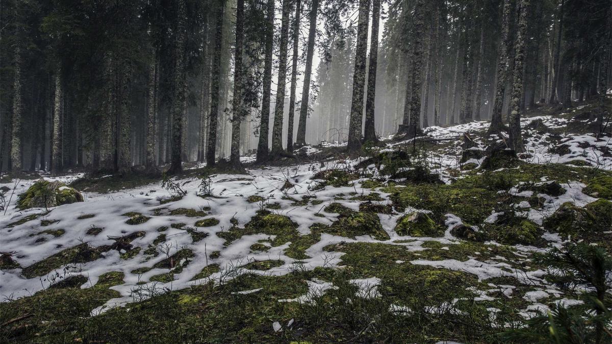 AI Governance in Democratic Societies: Comparative Analysis of Regulatory Approaches in the European Union and United States — illustration 3