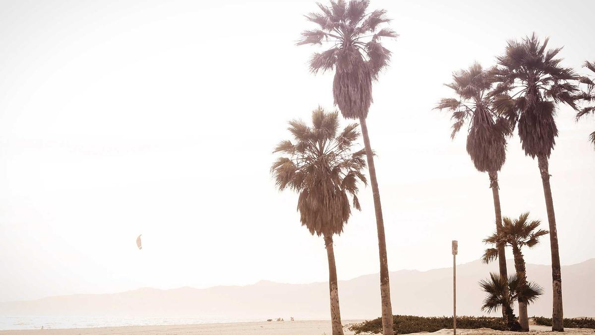 Theoretical Foundations of In-Context Learning: Analyzing the Mechanisms of Few-Shot Adaptation in Transformer Architectures — illustration 1