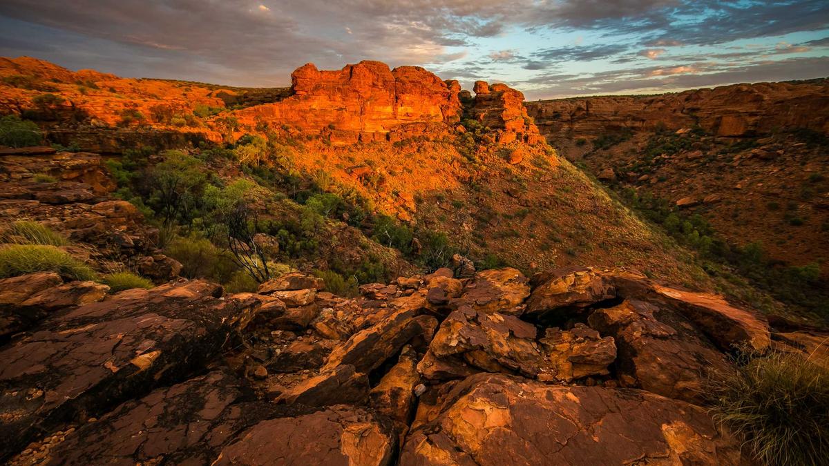 Benchmarking AI Code Generation Tools: A Comparative Study of Developer Productivity and Code Quality Metrics — illustration 3