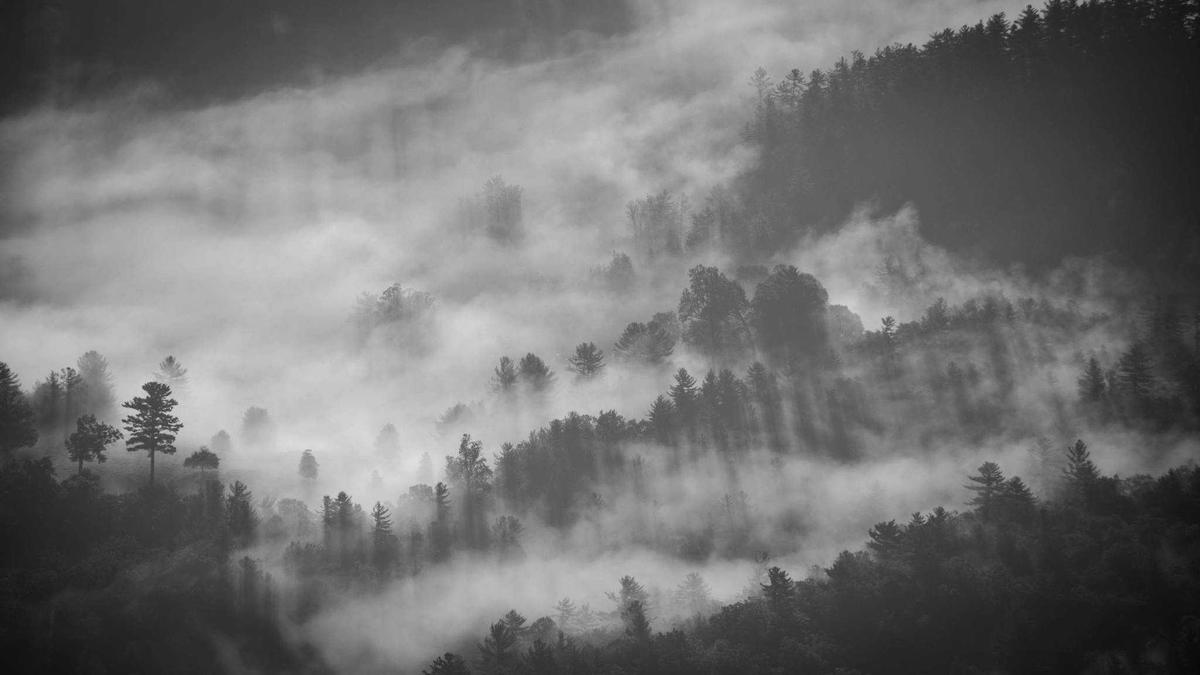 The Role of Epistemic Uncertainty Quantification in Large Language Model Safety: Bayesian Methods for Confidence Calibration — illustration 1