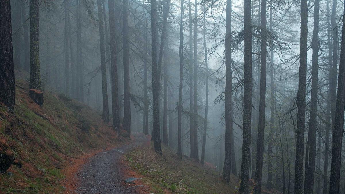 The Carbon Footprint of Large-Scale AI Training: Methodologies for Measuring and Reducing Environmental Impact in Model Development — illustration 3