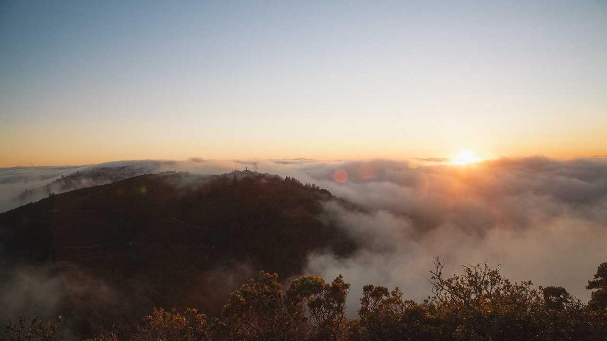 The Emergence of Multimodal Reasoning in Large Language Models: A Critical Analysis of Recent Architectural Advances — illustration 1