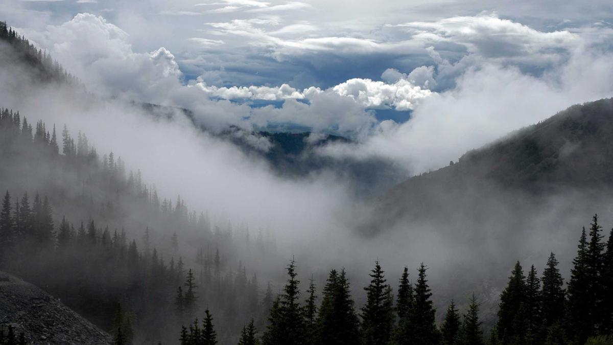 The Democratization of AI Research: How Open Models Are Transforming Academic Collaboration and Reproducibility — illustration 3